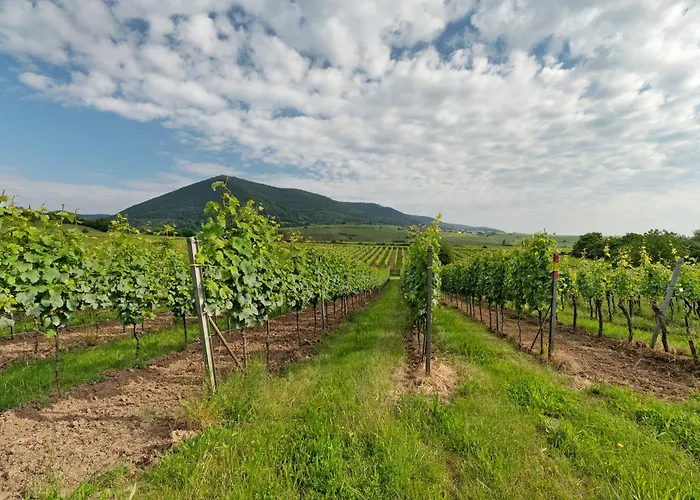 アパート Alte Pfarrhaus Galerie Gleisweiler